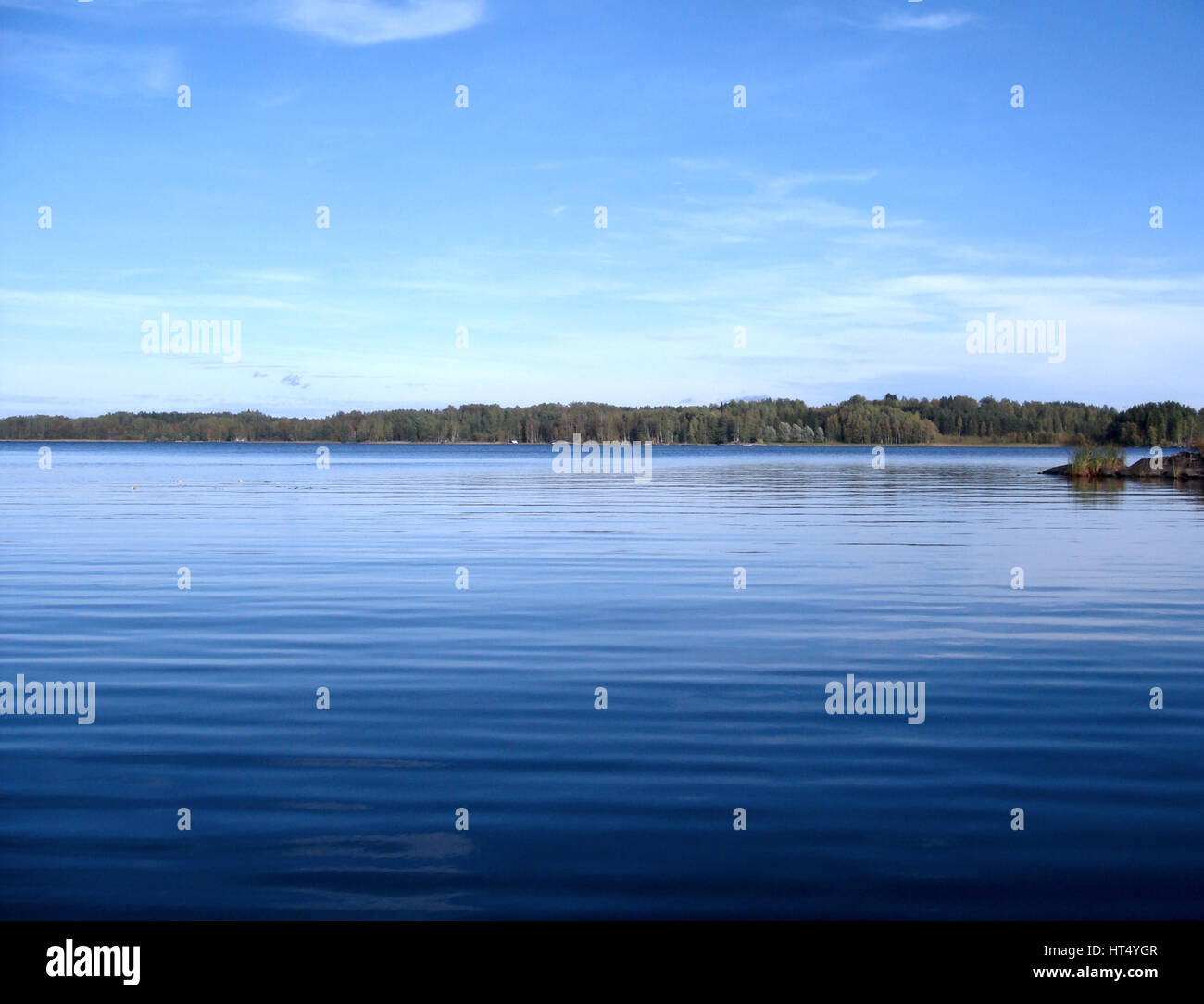 Forest with blue lake under cloudy sky, Finland Stock Photo - Alamy