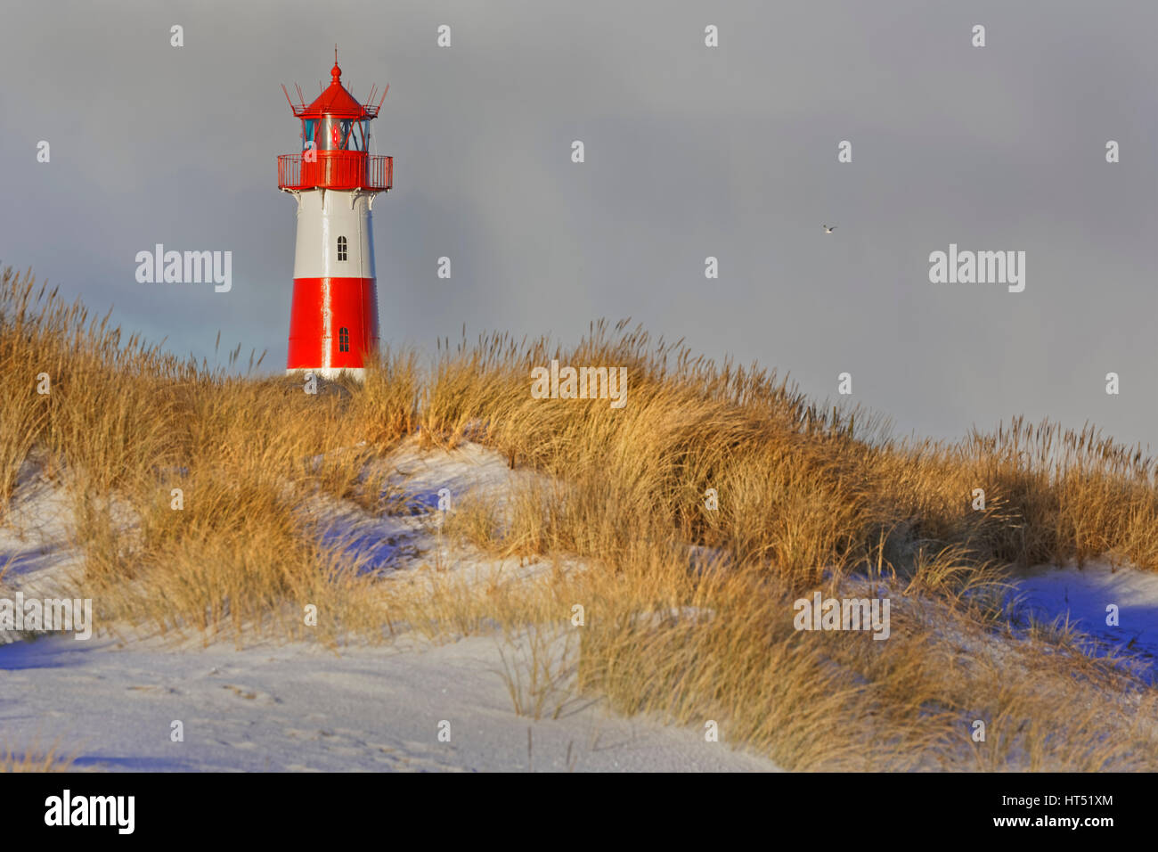 Red and white striped lighthouse List East in the dunes, Ellenbogen, List, Sylt, North Frisia, Schleswig-Holstein, Germany Stock Photo