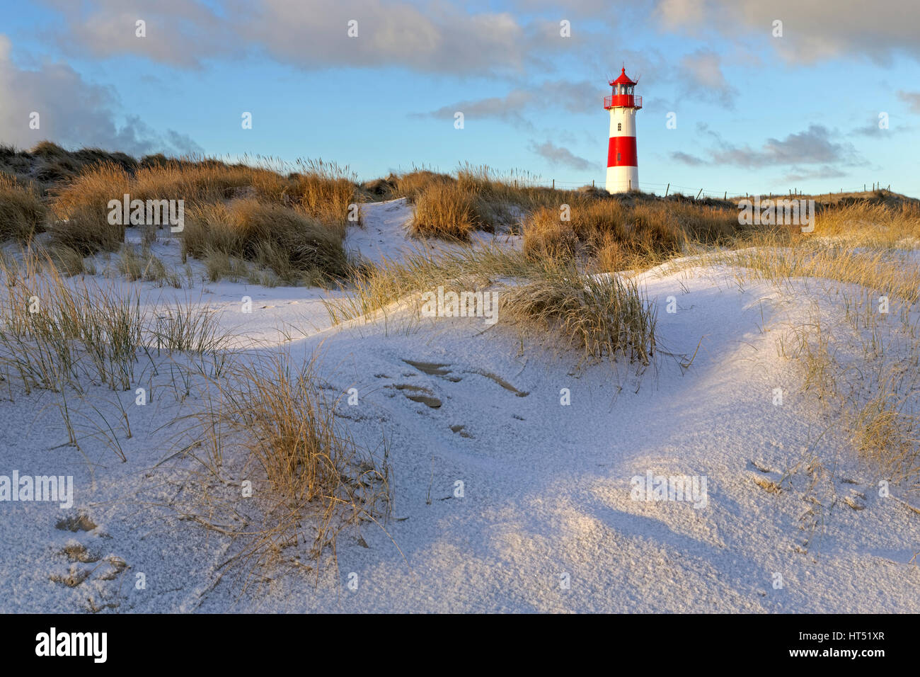 Red and white striped lighthouse List East in the dunes, Ellenbogen, List, Sylt, North Frisia, Schleswig-Holstein, Germany Stock Photo