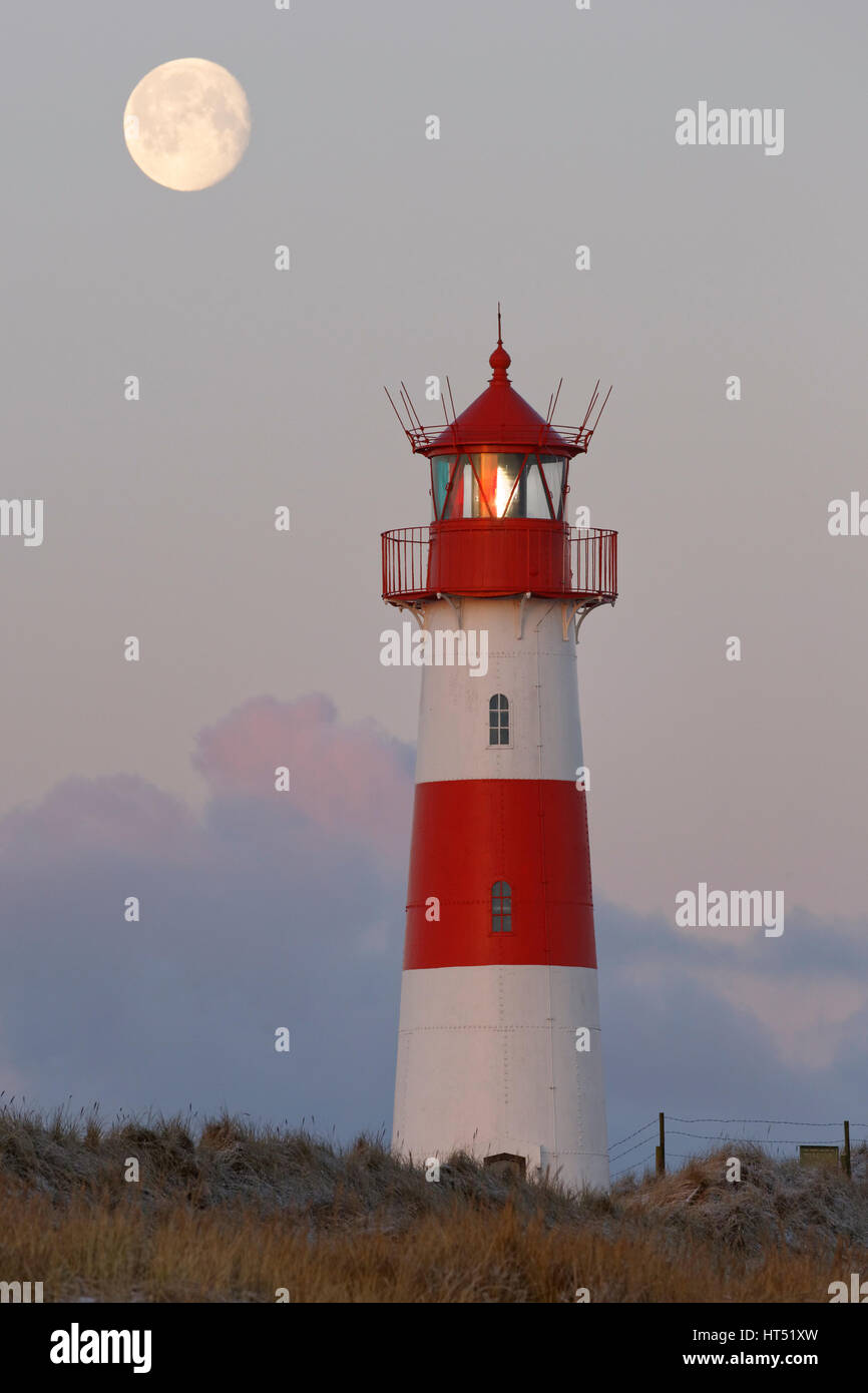 Red and white striped lighthouse List East at full moon, twilight Ellenbogen, List, Sylt, North Frisia, Schleswig-Holstein Stock Photo