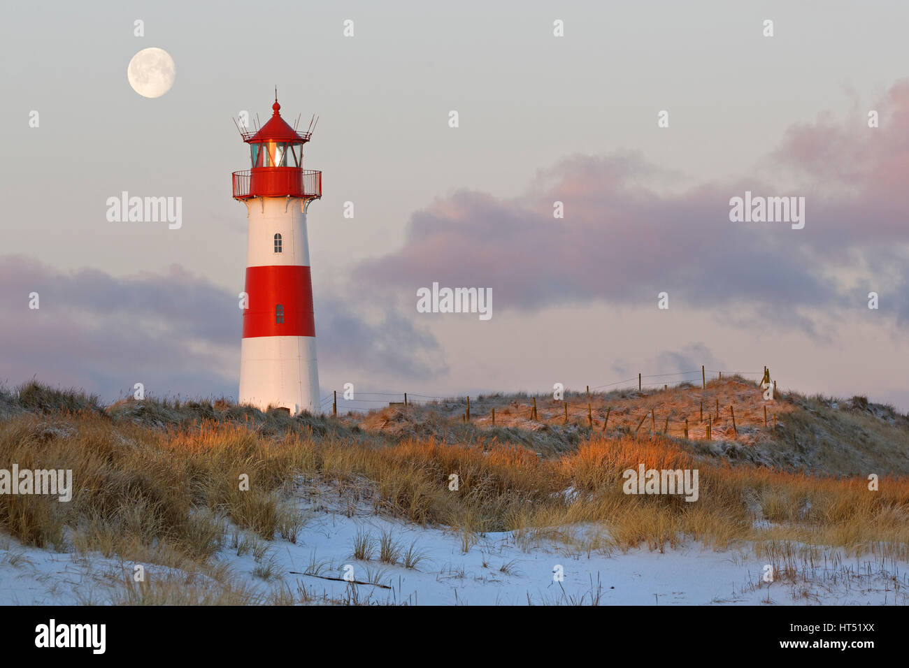 Red and white striped lighthouse List East in the dunes at the full moon, twilight Ellenbogen, List, Sylt, North Frisia Stock Photo