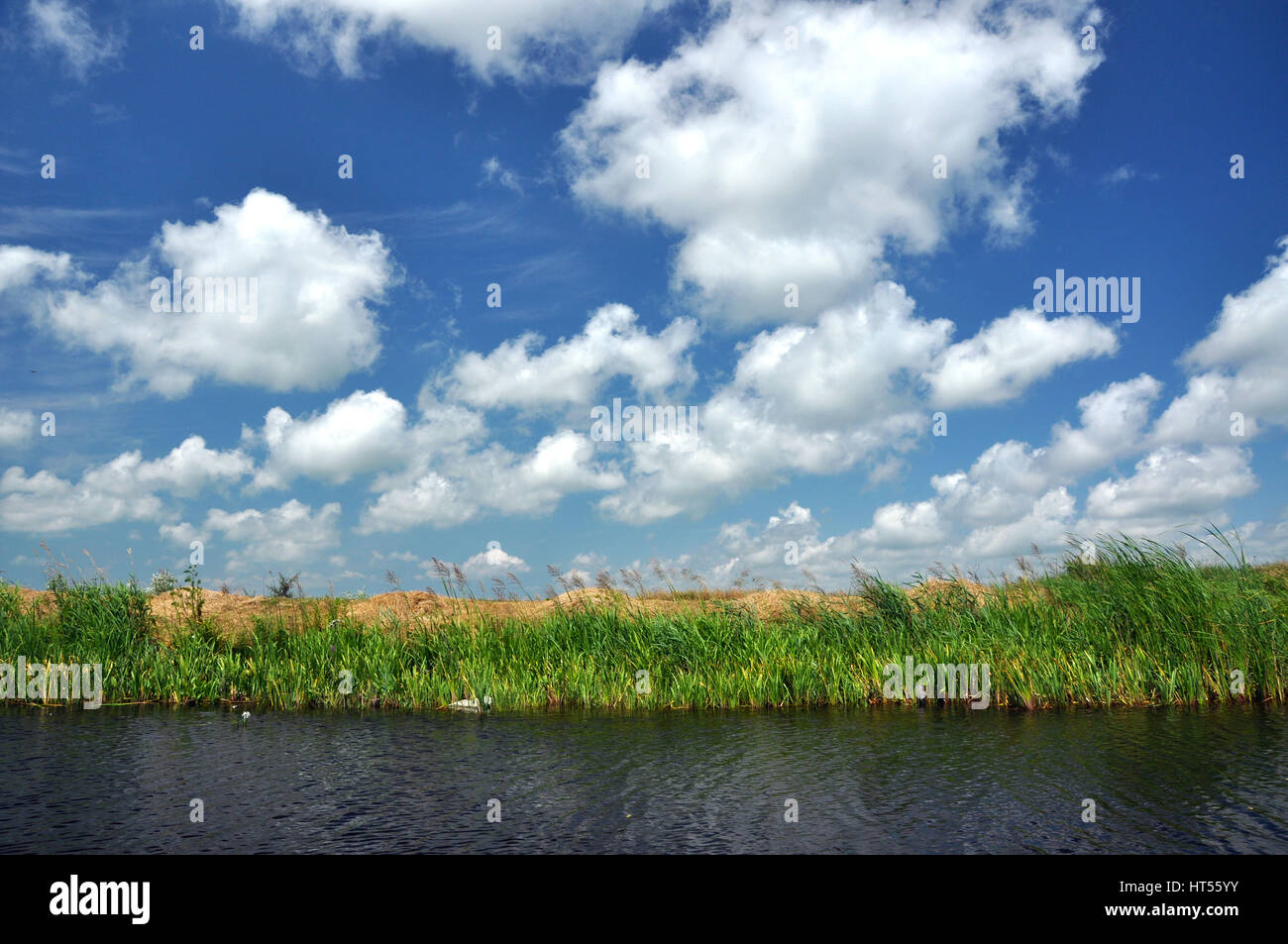Waterline in the Danube delta, Romania Stock Photo