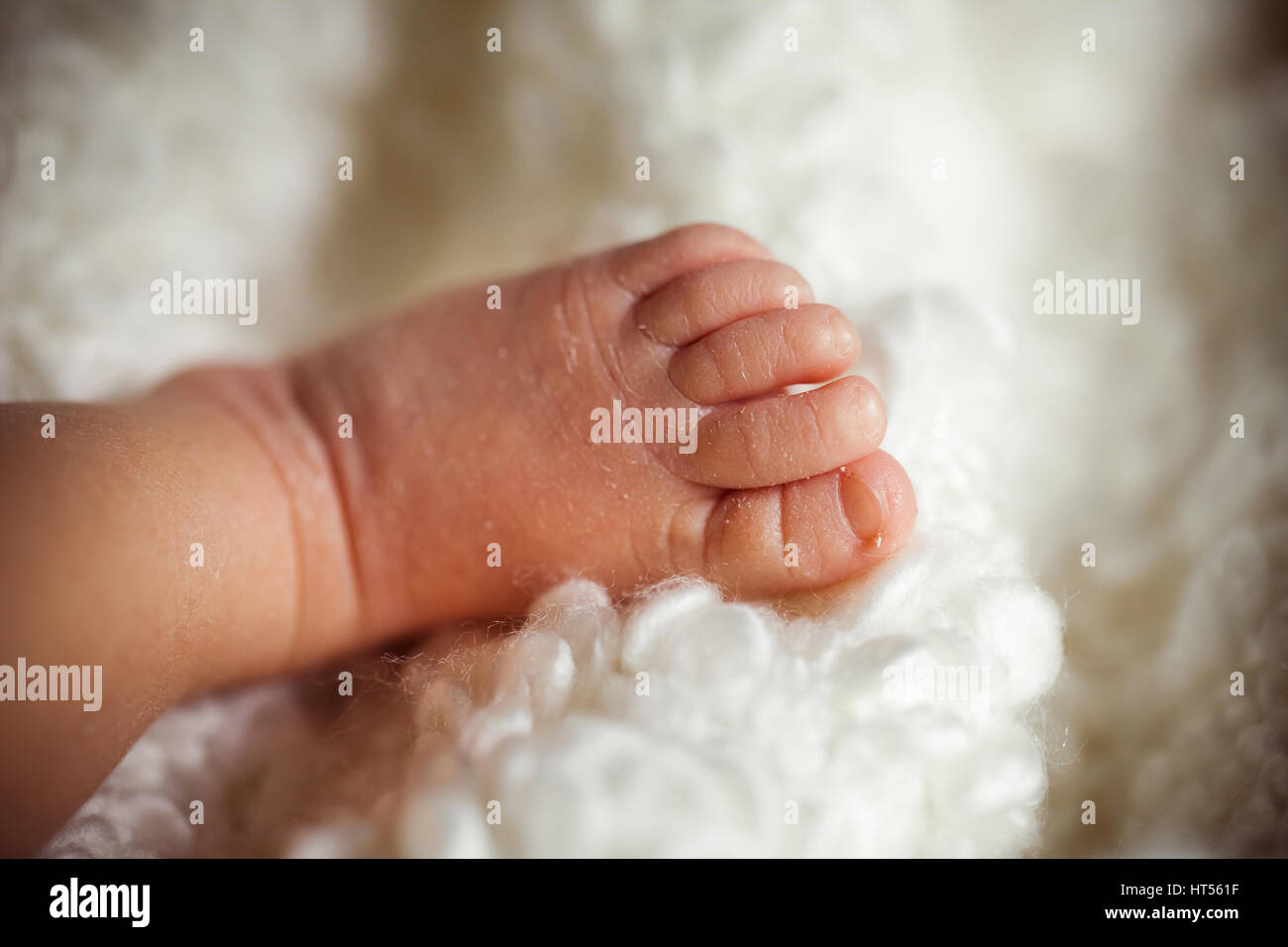 Leg of newborn kid in knitted blanket Stock Photo