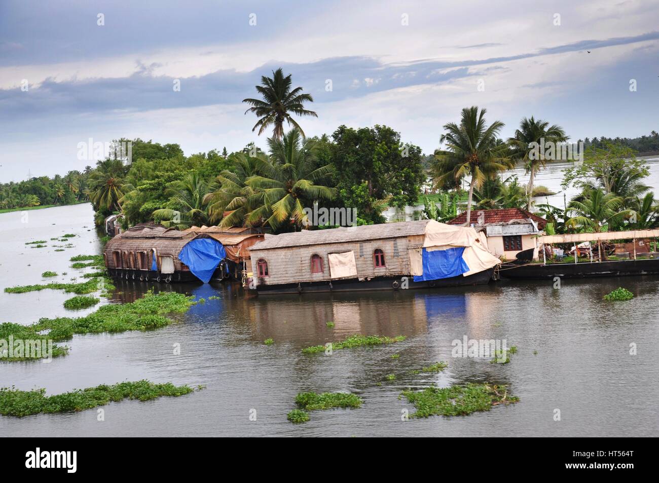 Kerala Houseboat, Green Tree, Backwater, Kuttanadan, Lake, India (Photo Copyright © by Saji Maramon) Stock Photo