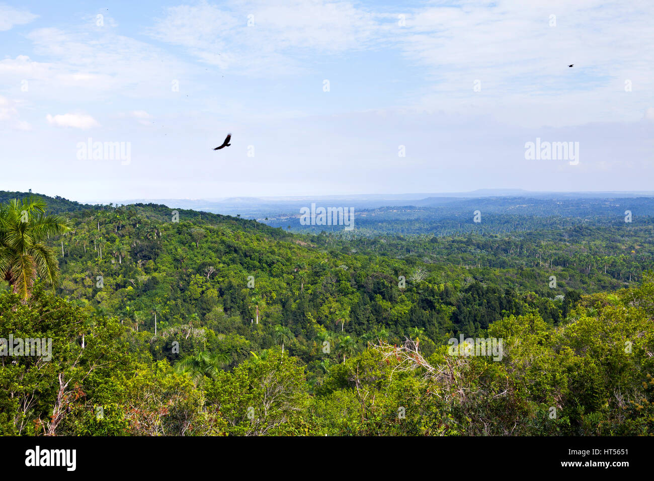 View of Las Terrazas in Pinar del Rio Province, Cuba Stock Photo