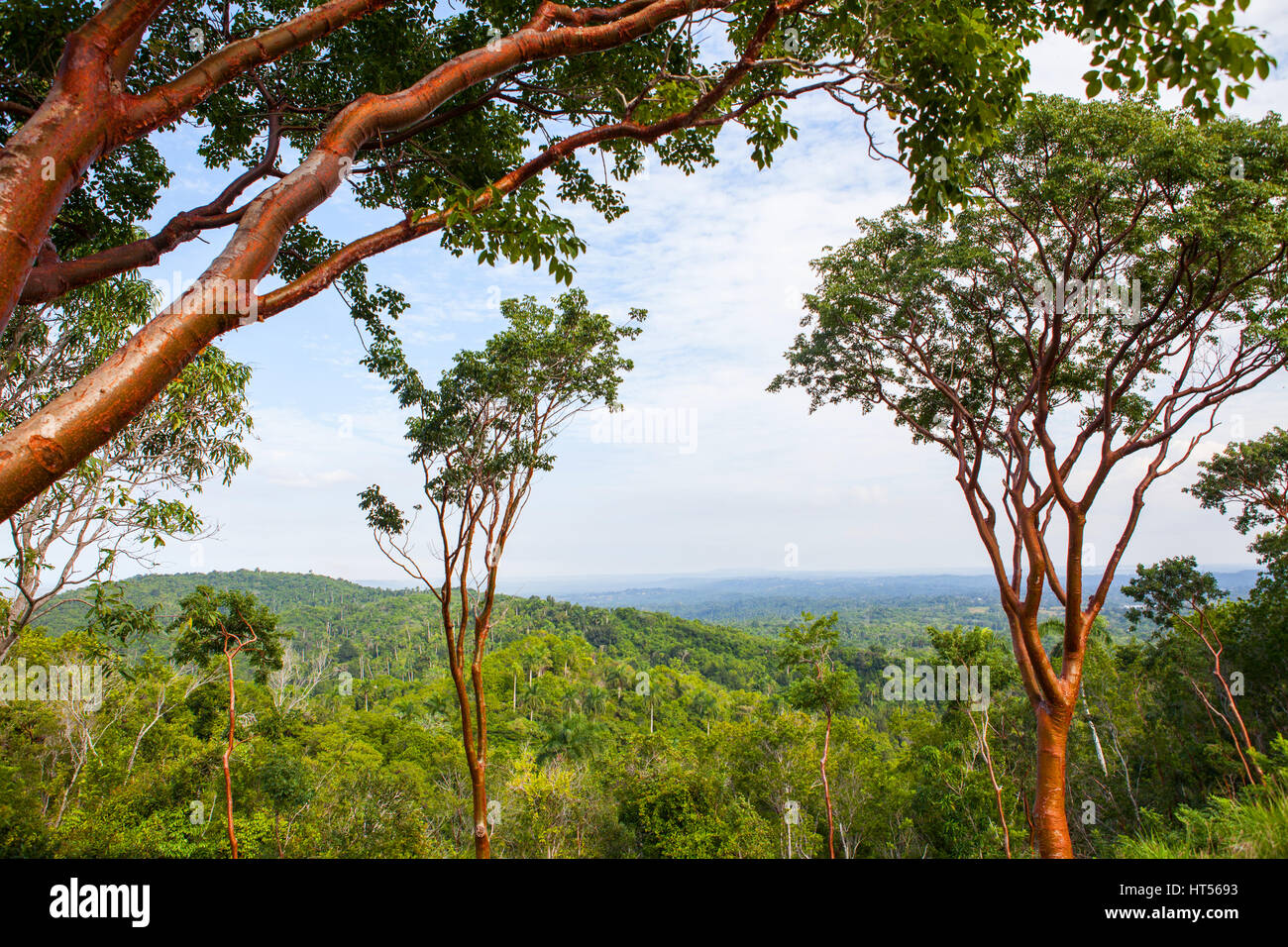 Río san juan las terrazas hi-res stock photography and images - Alamy
