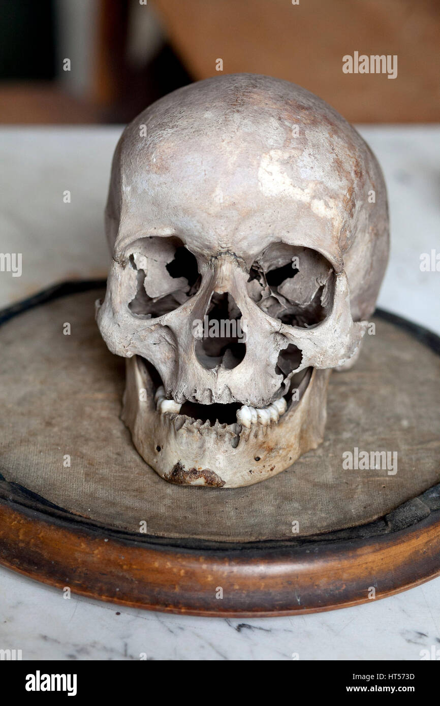 Stonyhurst College , Lancashire , UK. Skull on display Stock Photo