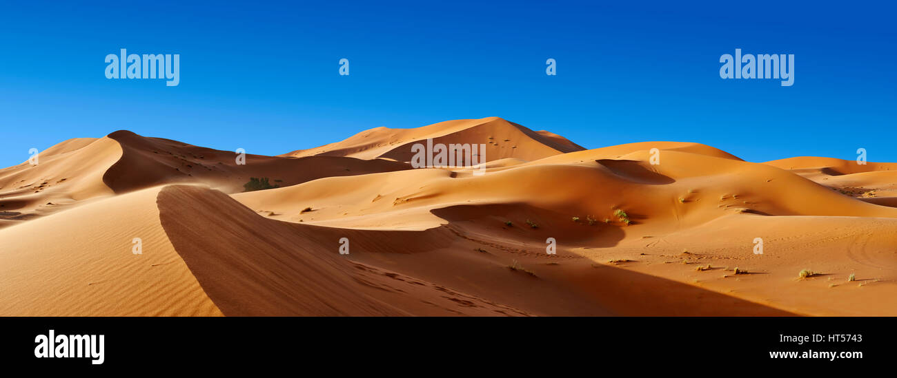 Sahara parabolic sand dunes of erg Chebbi, Morocco, Africa Stock Photo