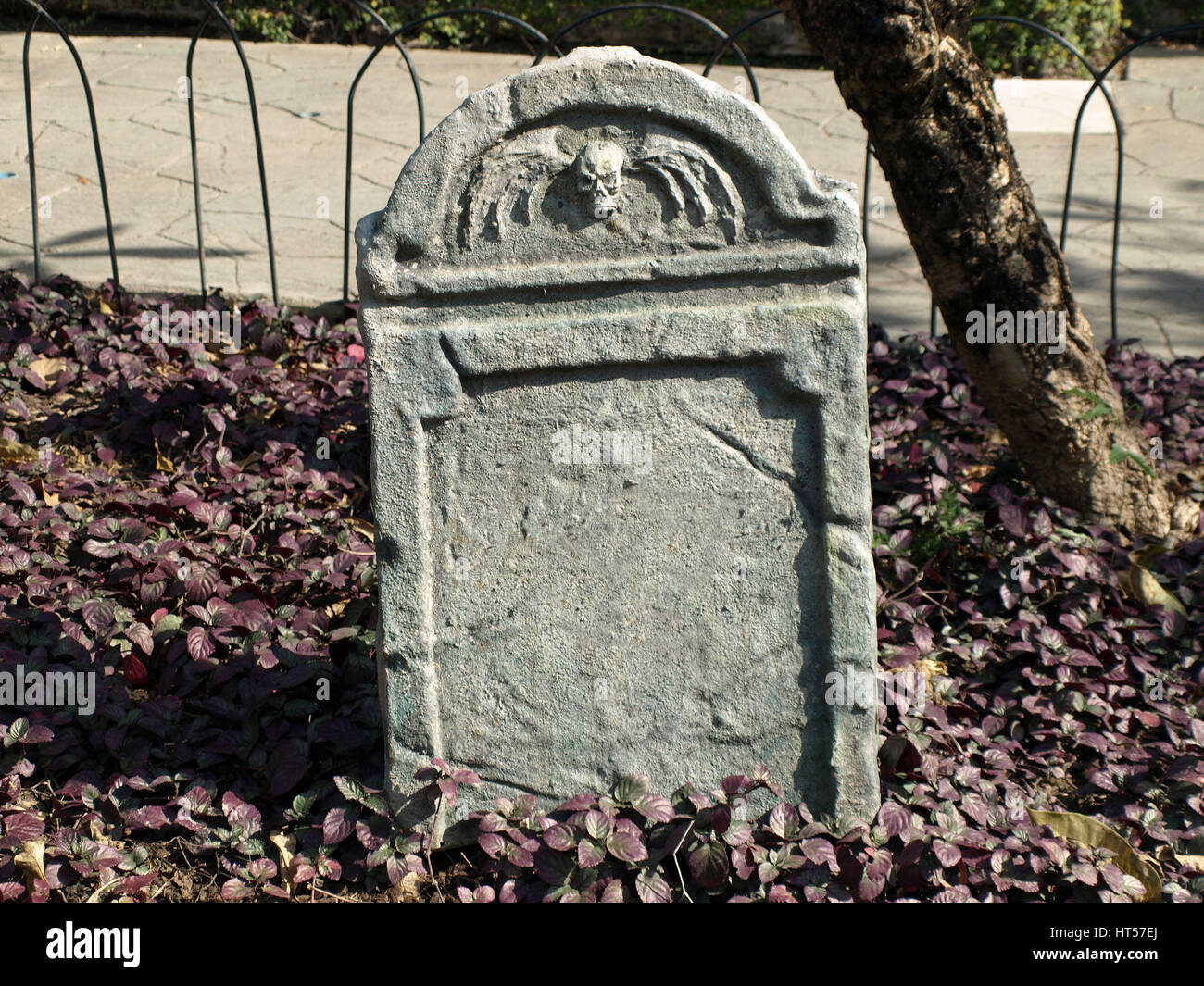 A blank tombstone in a cemetery with copy space for halloween gravestone  horror death backgrounds Stock Photo - Alamy