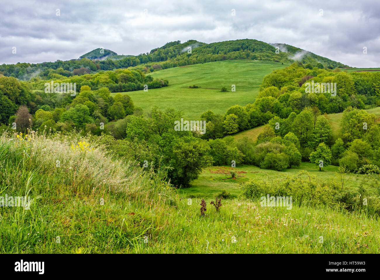 Remote Rural Valley rural area in the beautiful valley in vivid Carpathian mountain ...