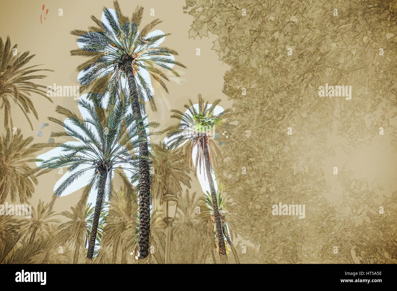 Palm trees in a tropical resort at beautiful sunny day. Image of ...