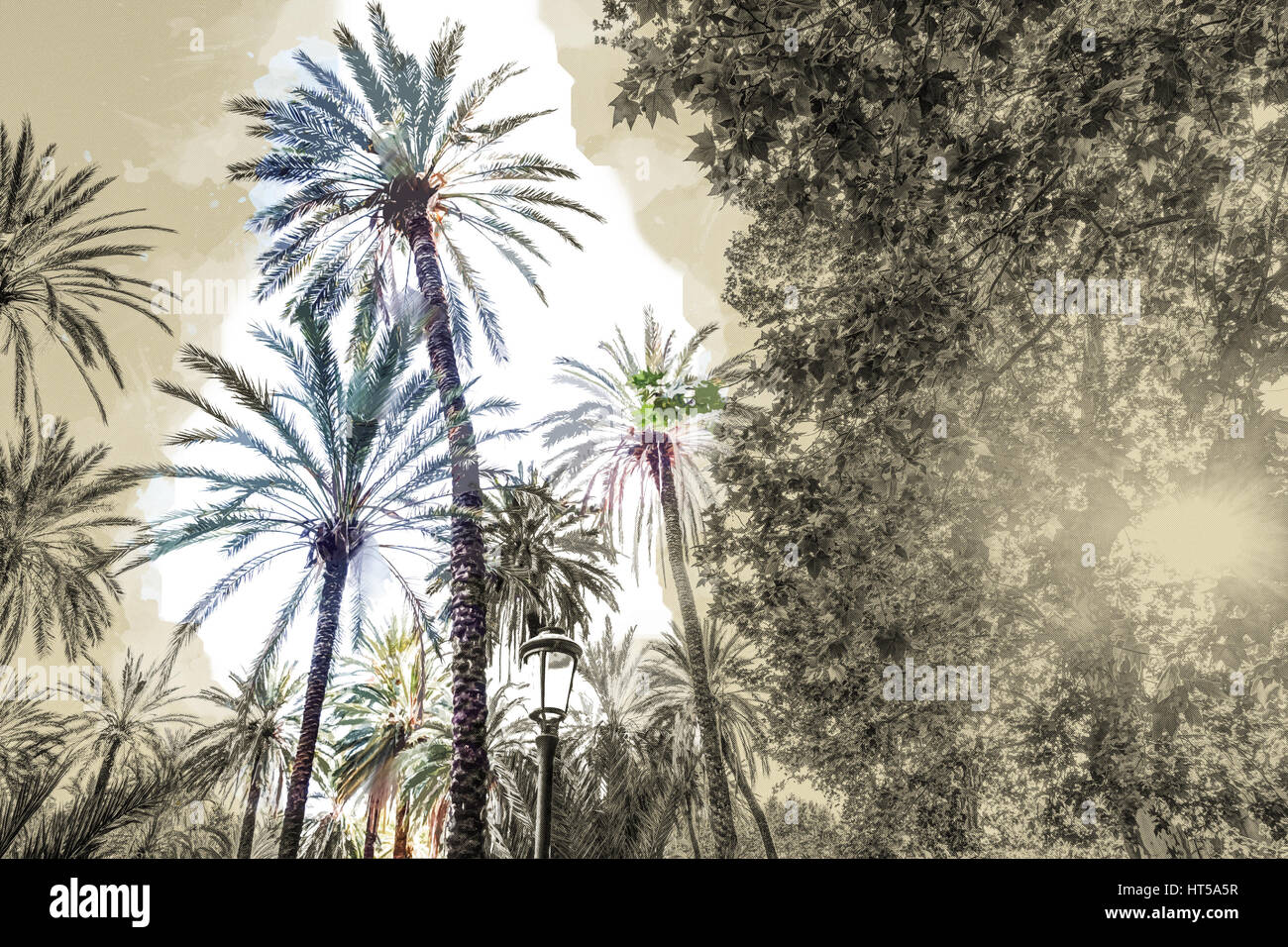 Palm trees in a tropical resort at beautiful sunny day. Image of ...