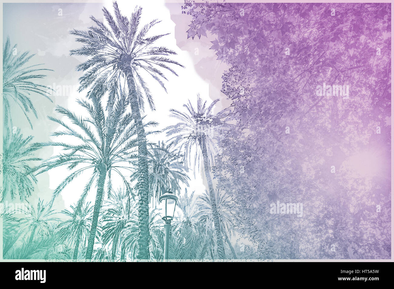 Palm trees in a tropical resort at beautiful sunny day. Image of ...