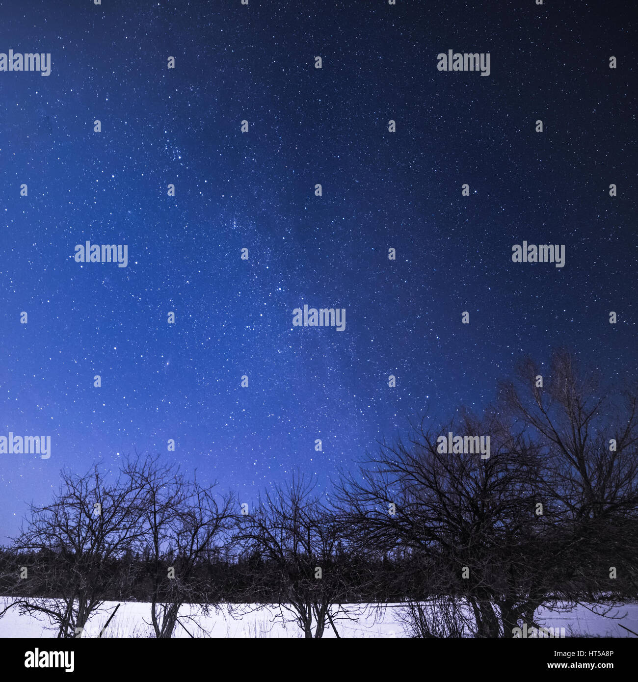 Starry night landscape trees hi-res stock photography and images - Alamy