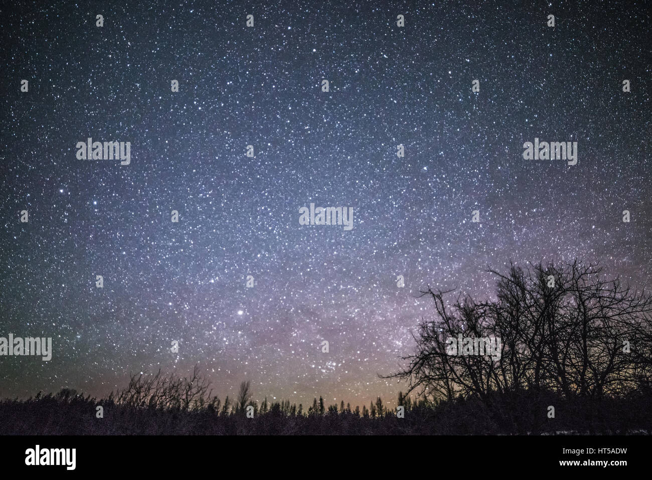 Rural Landscape at night with trees and stars asnd snow Stock Photo