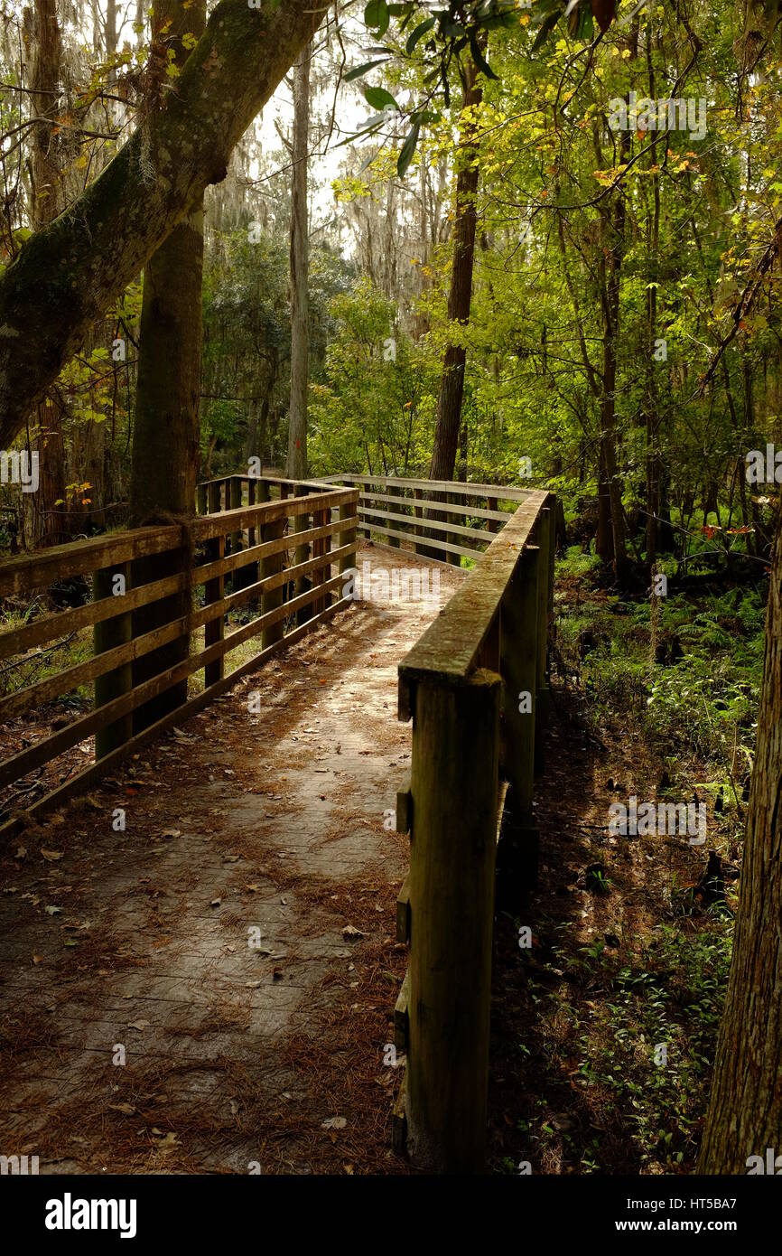 This wooden footbridge is part of a a meandering footpath that follows along the quiet waters of the enchanting urban oasis that is Shingle Creek. Stock Photo