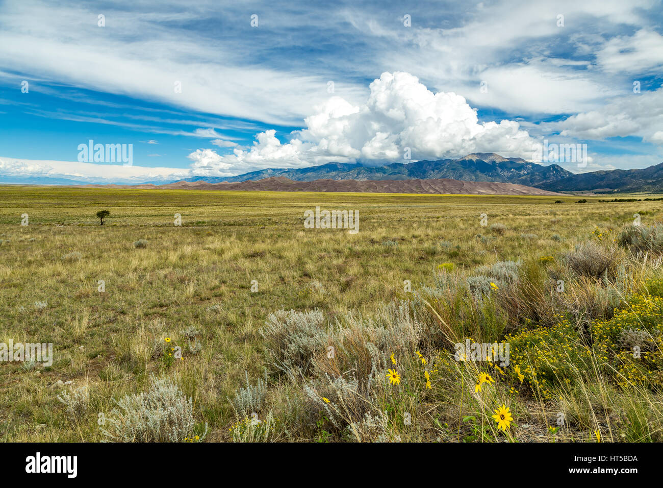 The park contains the tallest sand dunes in North America, rising to a ...