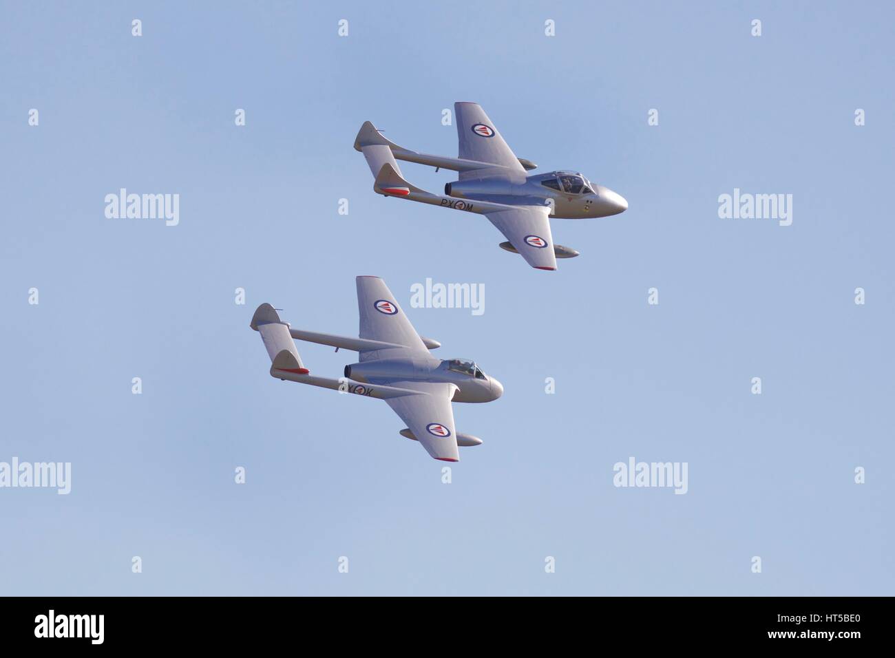 De Havilland Vampire FB.52 and T.55 flying together at Duxford Air Show Stock Photo