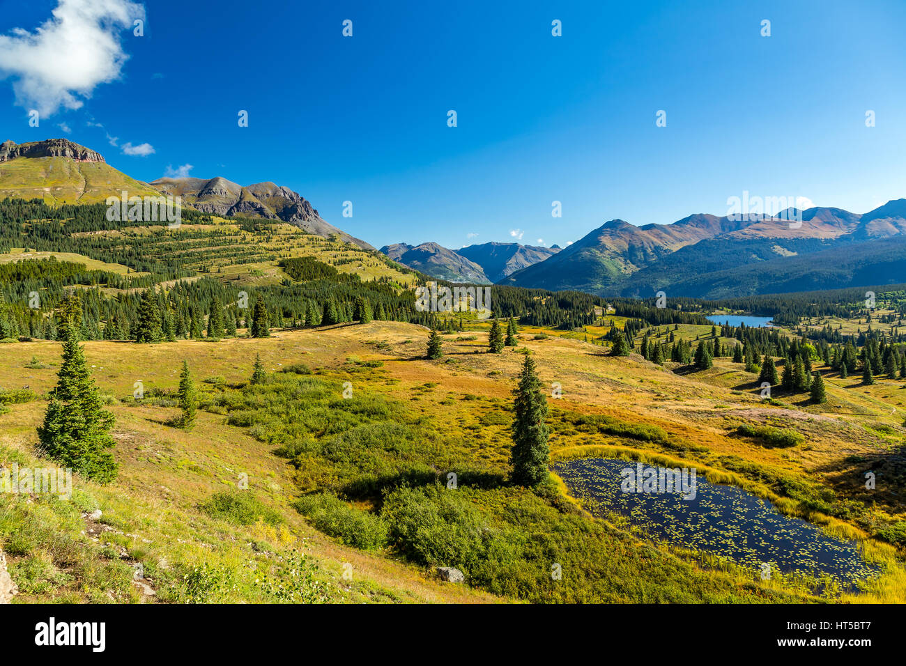 San juan wildlife hi-res stock photography and images - Alamy