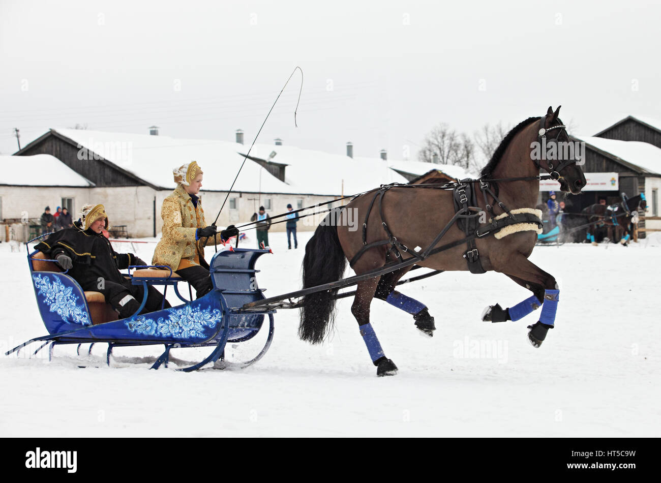 Single Horse approaching an obstacle on the cross country section at the Bogdarnya 2017 winter driving competition Stock Photo