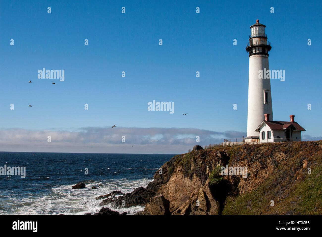 Views of Pigeon Point Lighthouse on Highway 1 on the northern California coast. Stock Photo