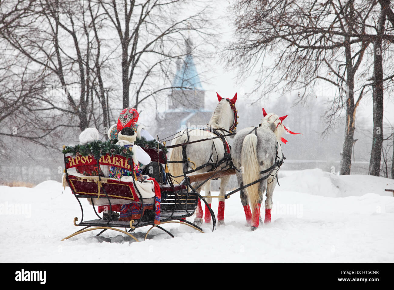 Russian Orlov trotter horse pulling sleigh in winter obstacle cone driving on  Yaroslavl city Stock Photo