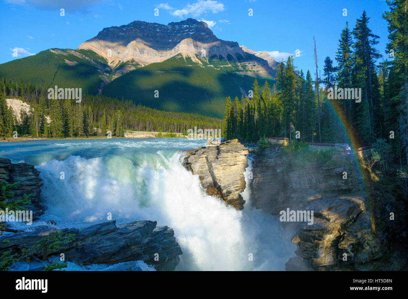 athabasca-falls-jasper-national-park-alberta-canada-stock-photo-alamy