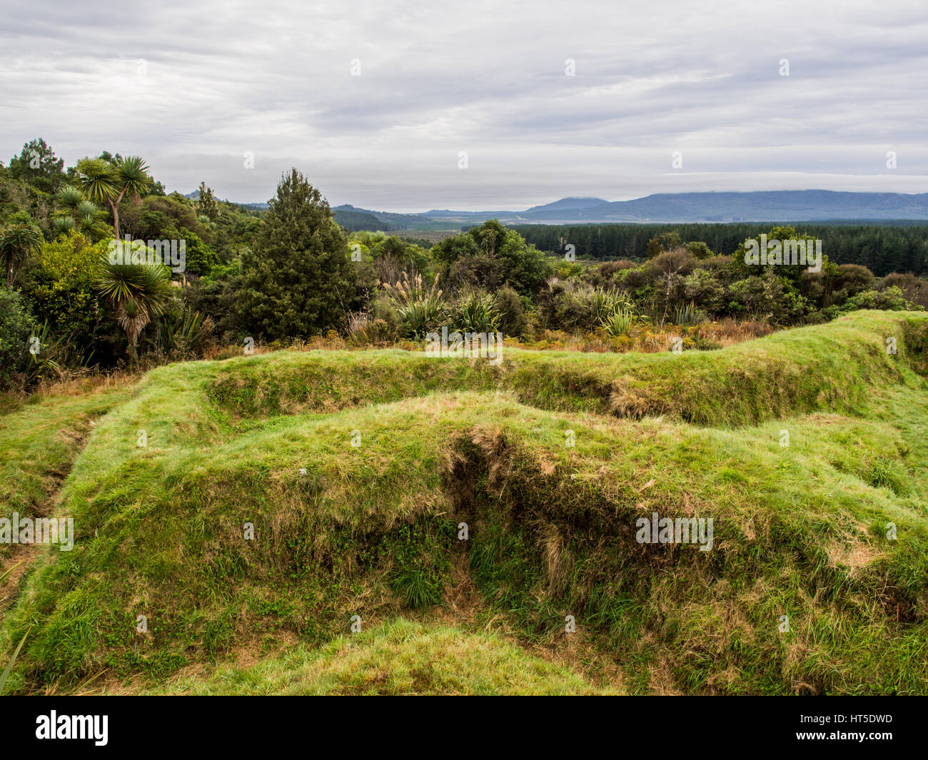 Te Porere, the earthworks of the upper redoubt, autumn Stock Photo - Alamy