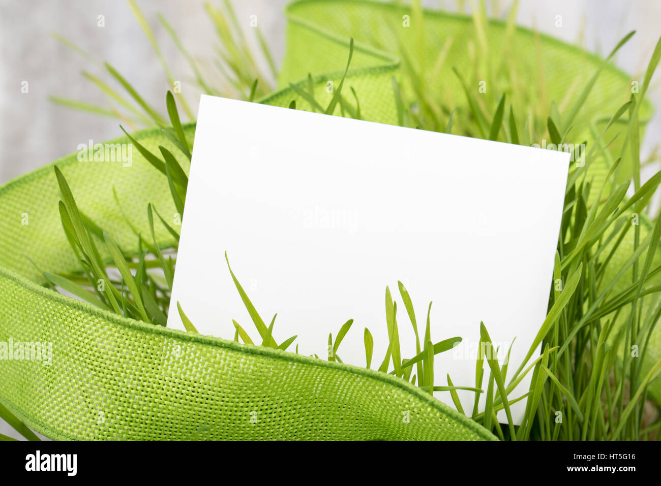 White blank greeting card background with fresh green grass and green ...