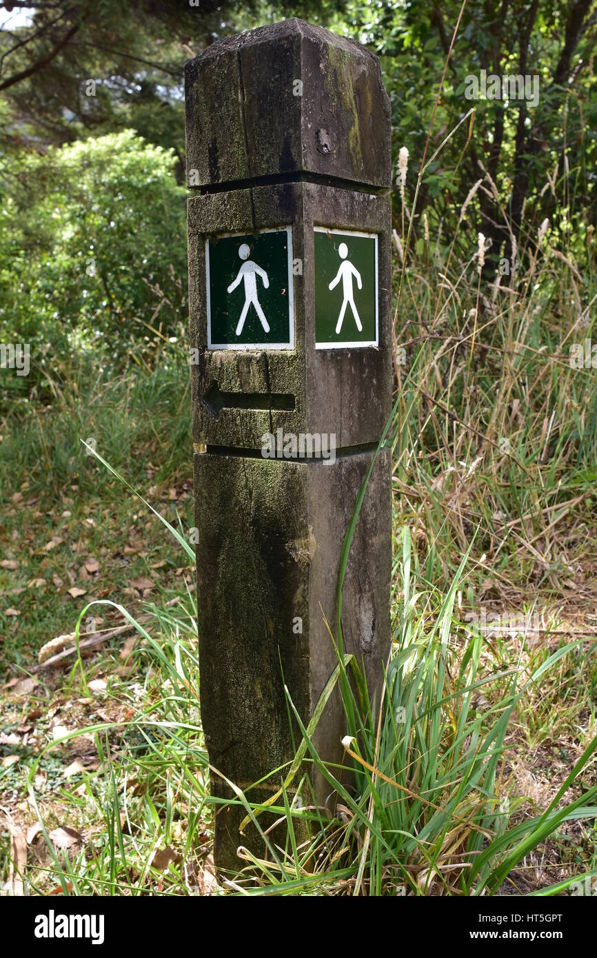 Footpath sign with arrow on small lichen covered pole showing walk direction. Stock Photo
