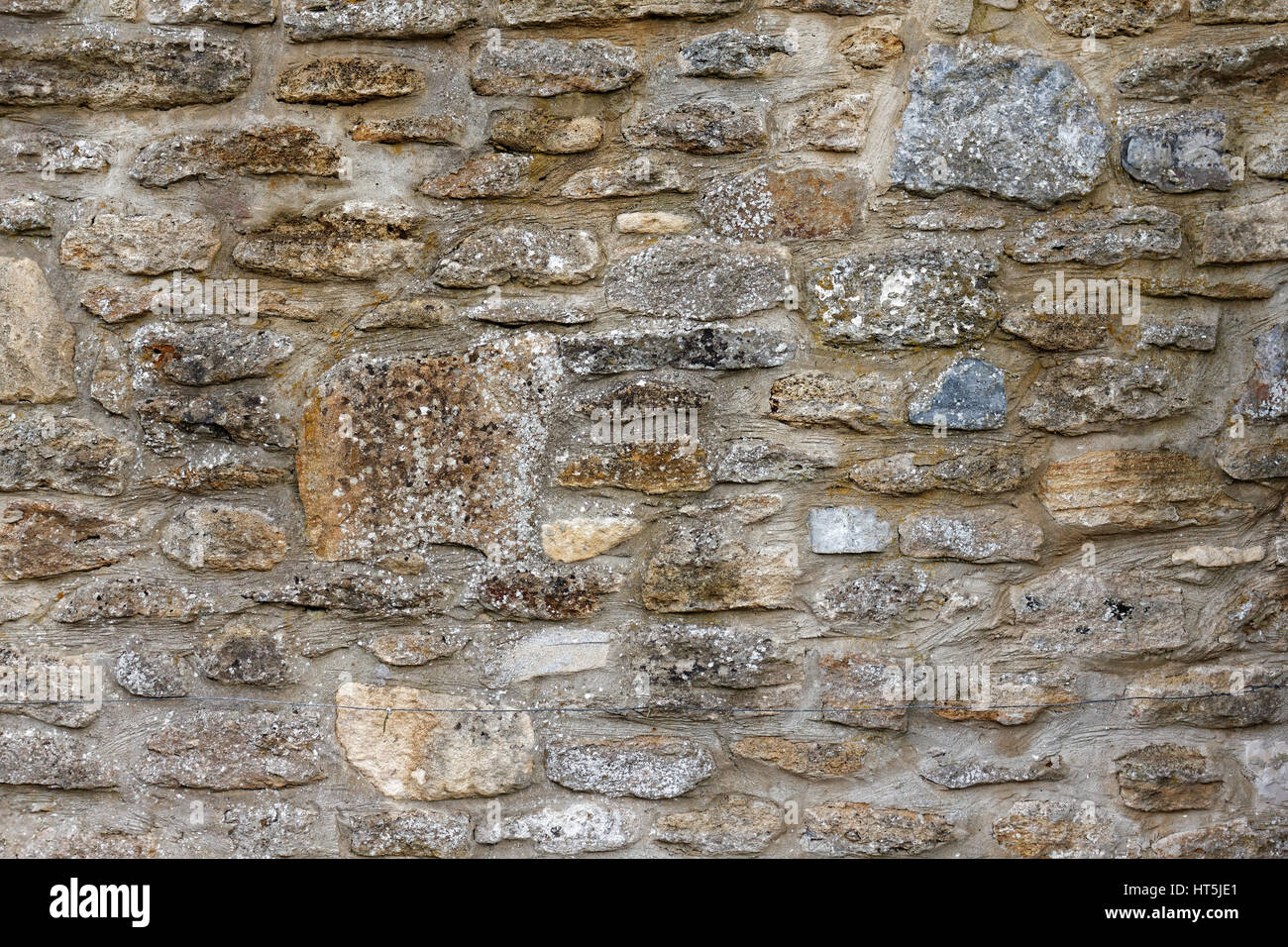 Old stone wall with green plants Stock Photo - Alamy