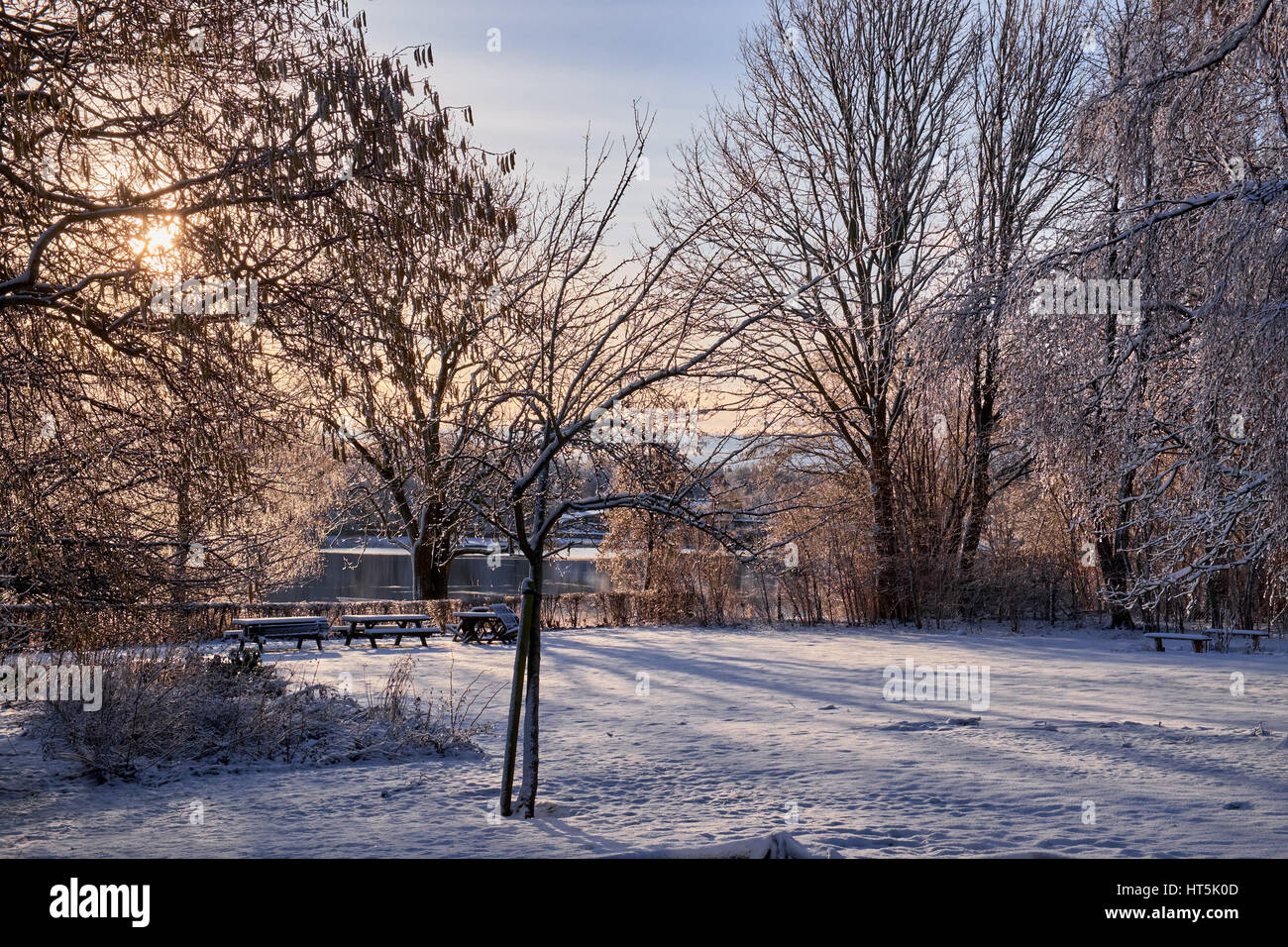 Snow covered field with long shadows from an early morning sun shining on surrounding trees Stock Photo