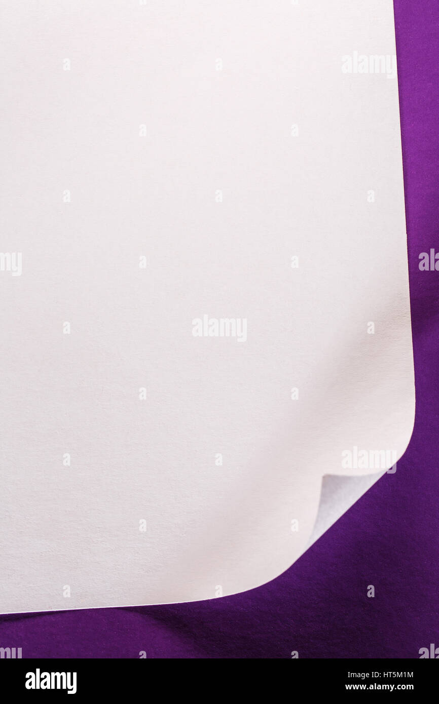 Blank sheet of paper on lilac background Stock Photo Alamy