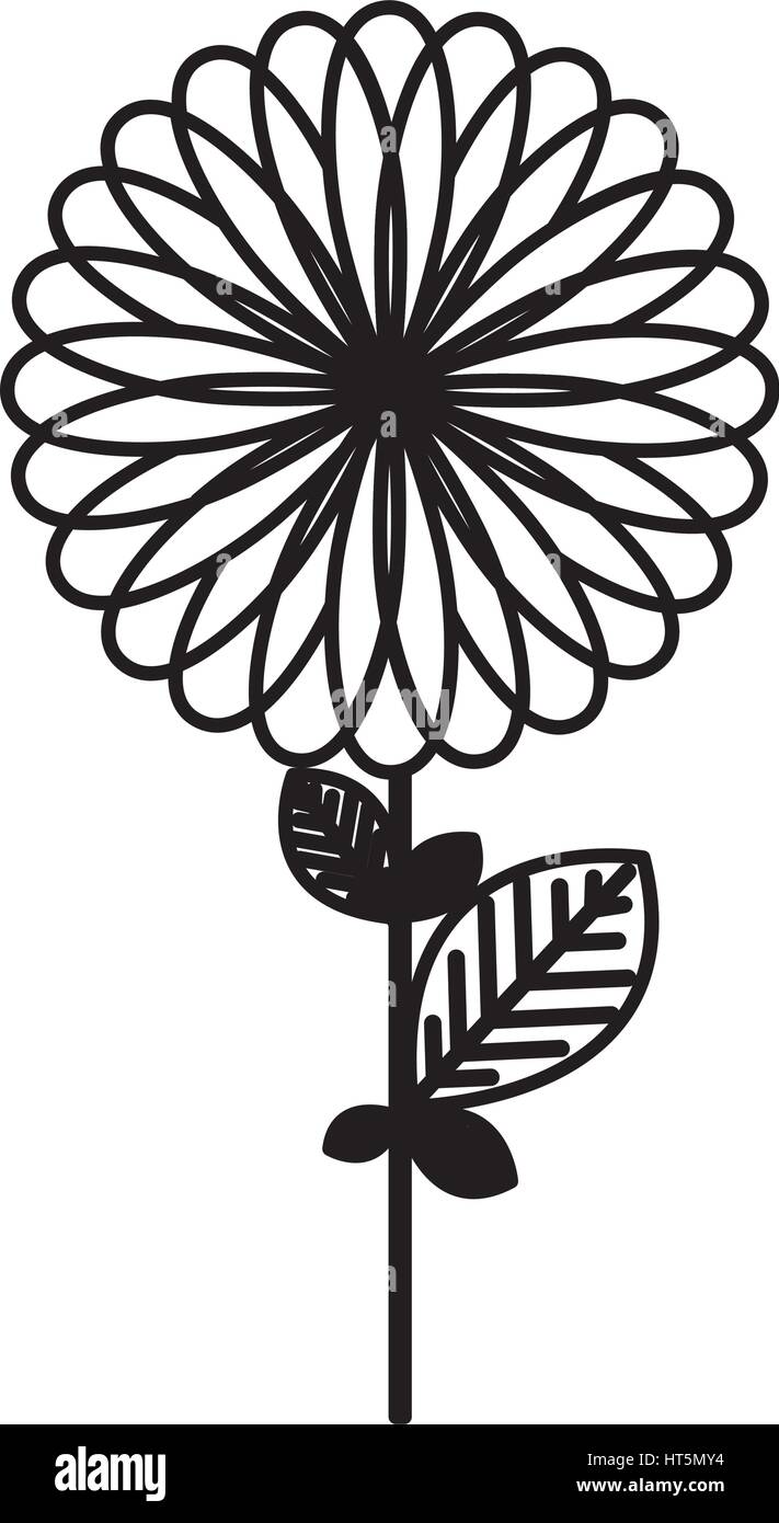 figure flower with some petals icon Stock Vector Image & Art - Alamy
