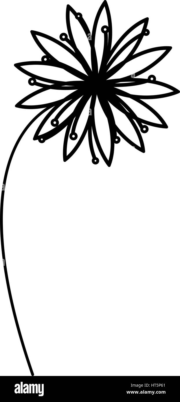 figure flower with petals and leaf icon Stock Vector Image & Art Alamy