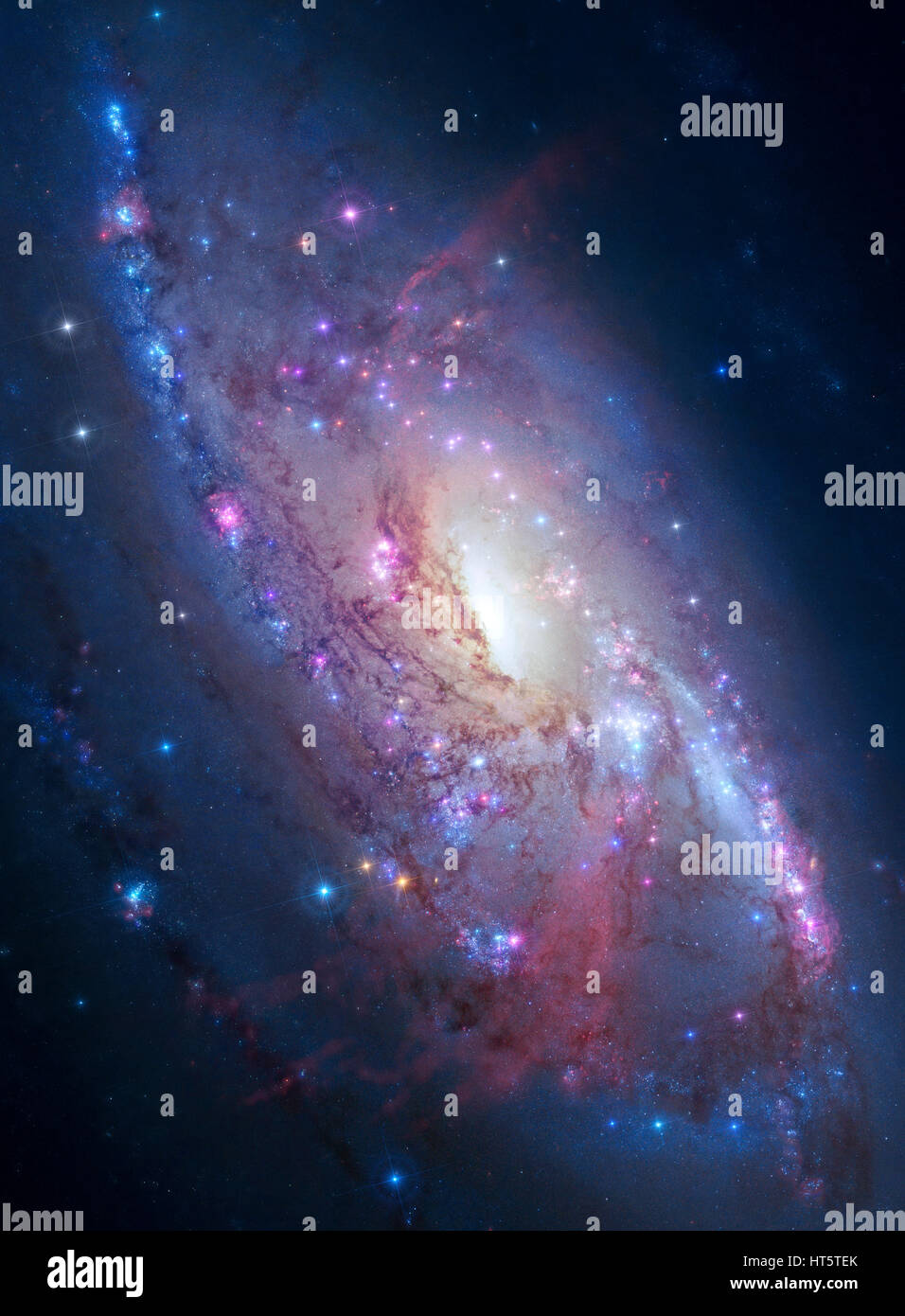 Galaxy M106 lies 23.5 million light-years away, in the constellation Canes Venatici. Stock Photo