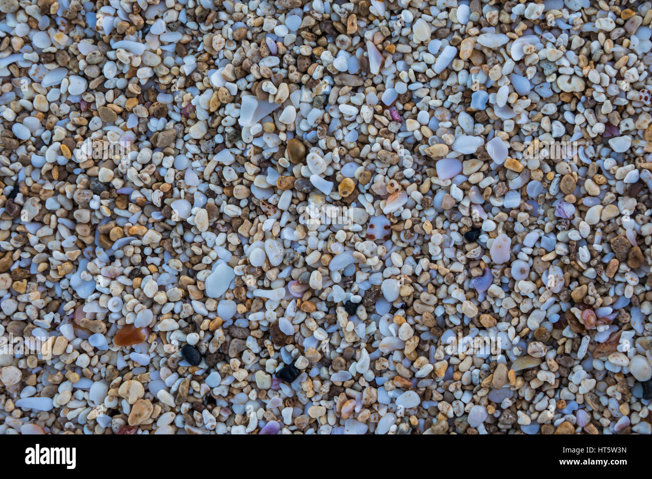 A close up view of pebbles and broken shells along the beach. Stock Photo