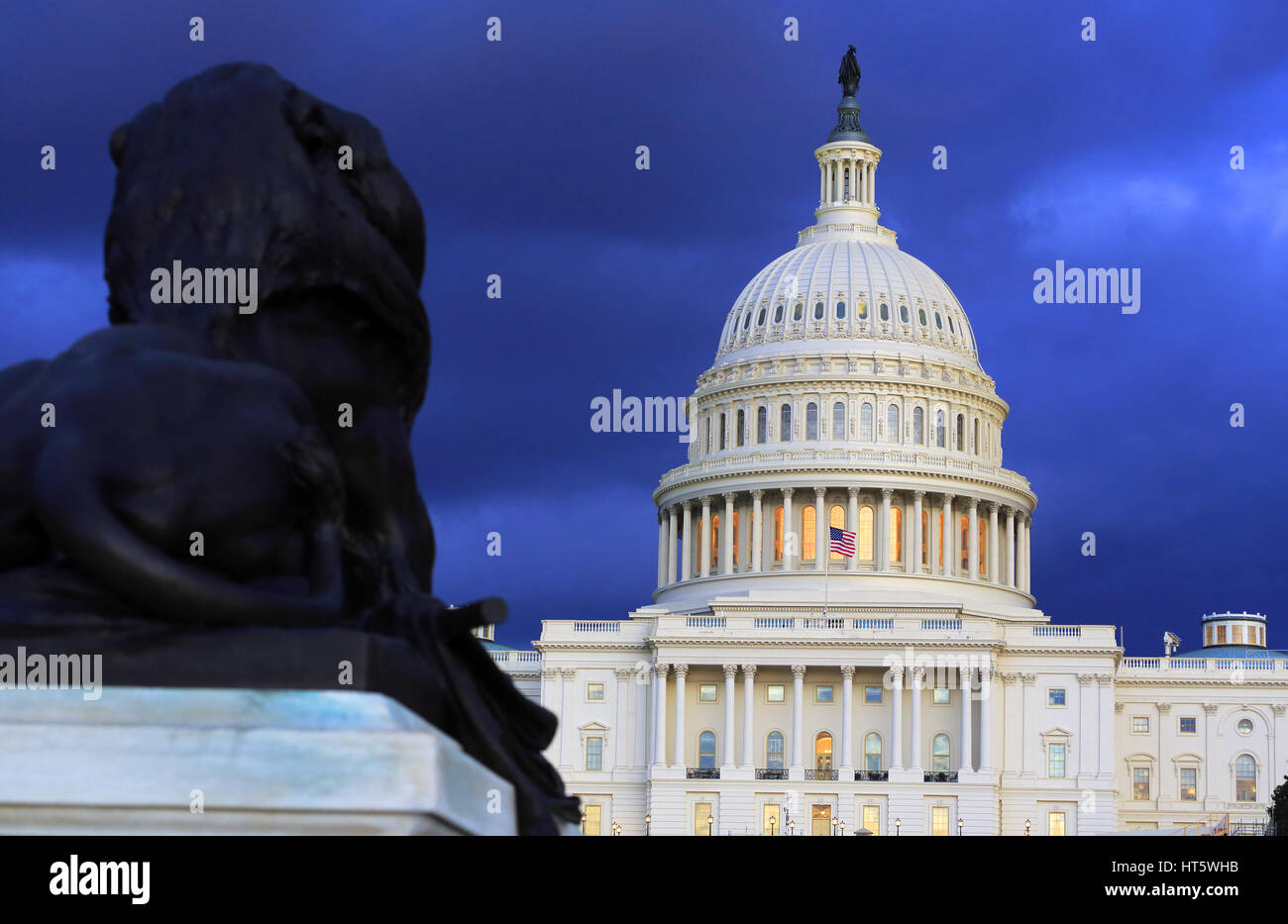 U.S.Capitol Building with lion of Ulysses S.Grant Memorial in foreground during twilight time. Washington,D.C.USA Stock Photo