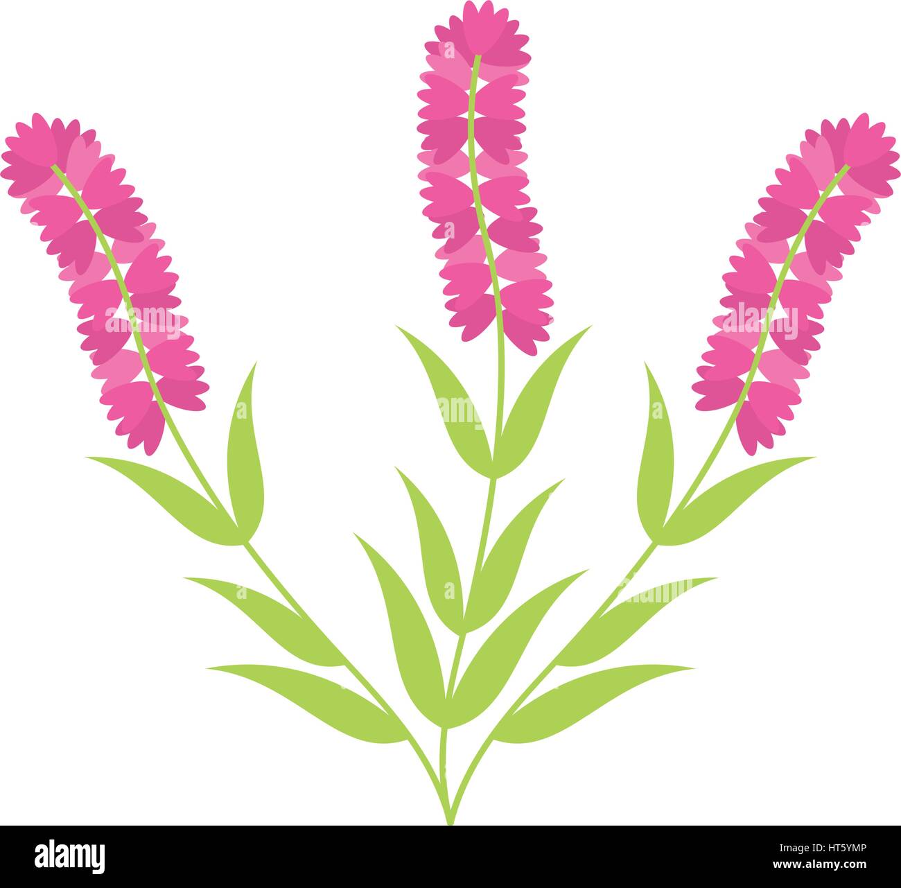 cute flower garden isolated icon Stock Vector Image & Art - Alamy
