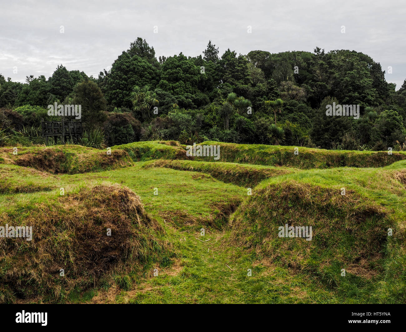 Te Porere,  the earthworks of the upper redoubt, autumn. Te Kooti and his surviving people escaped into the bush in the background. Stock Photo