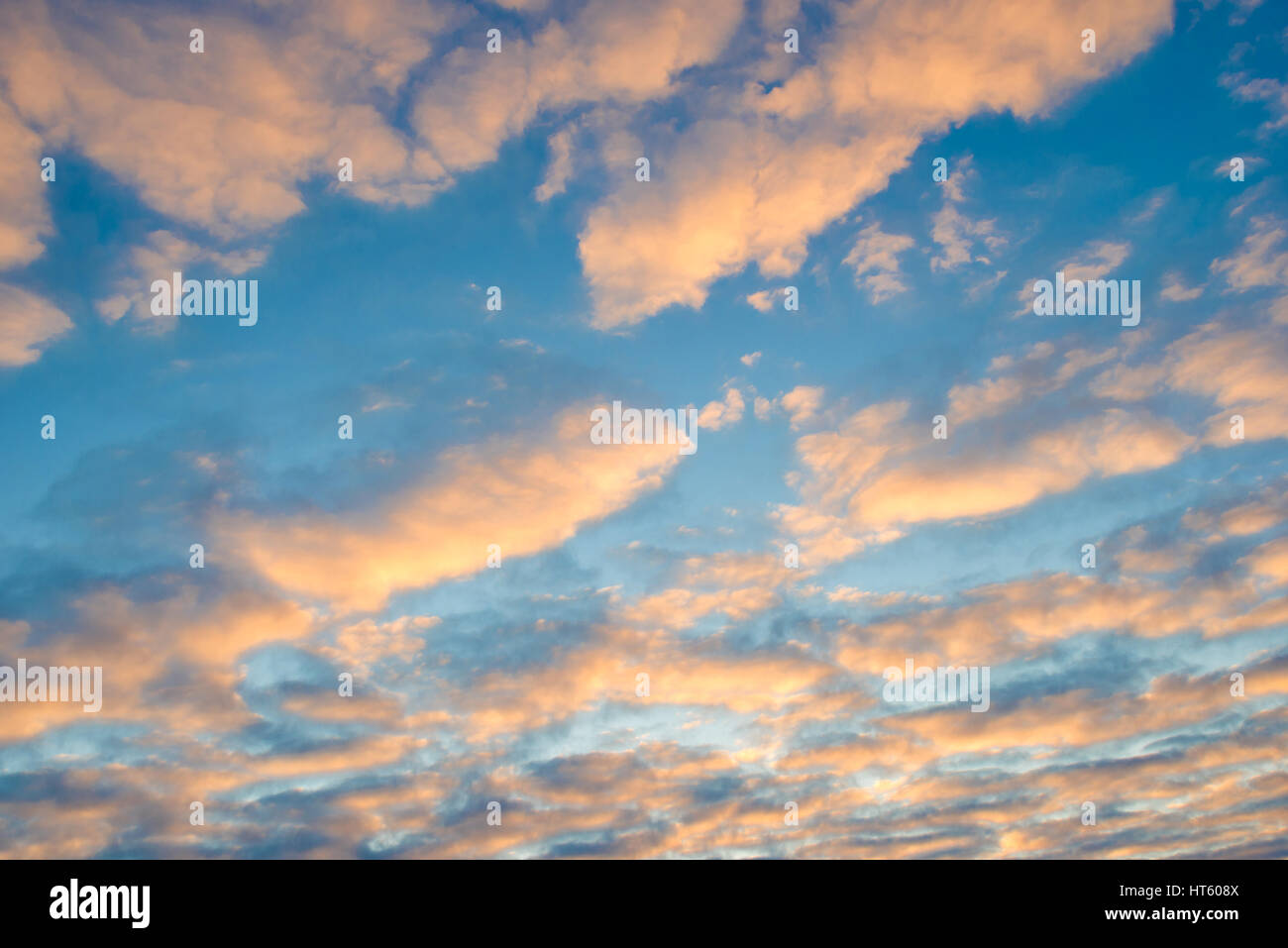 Orange clouds background and blue sky at sunset Stock Photo - Alamy