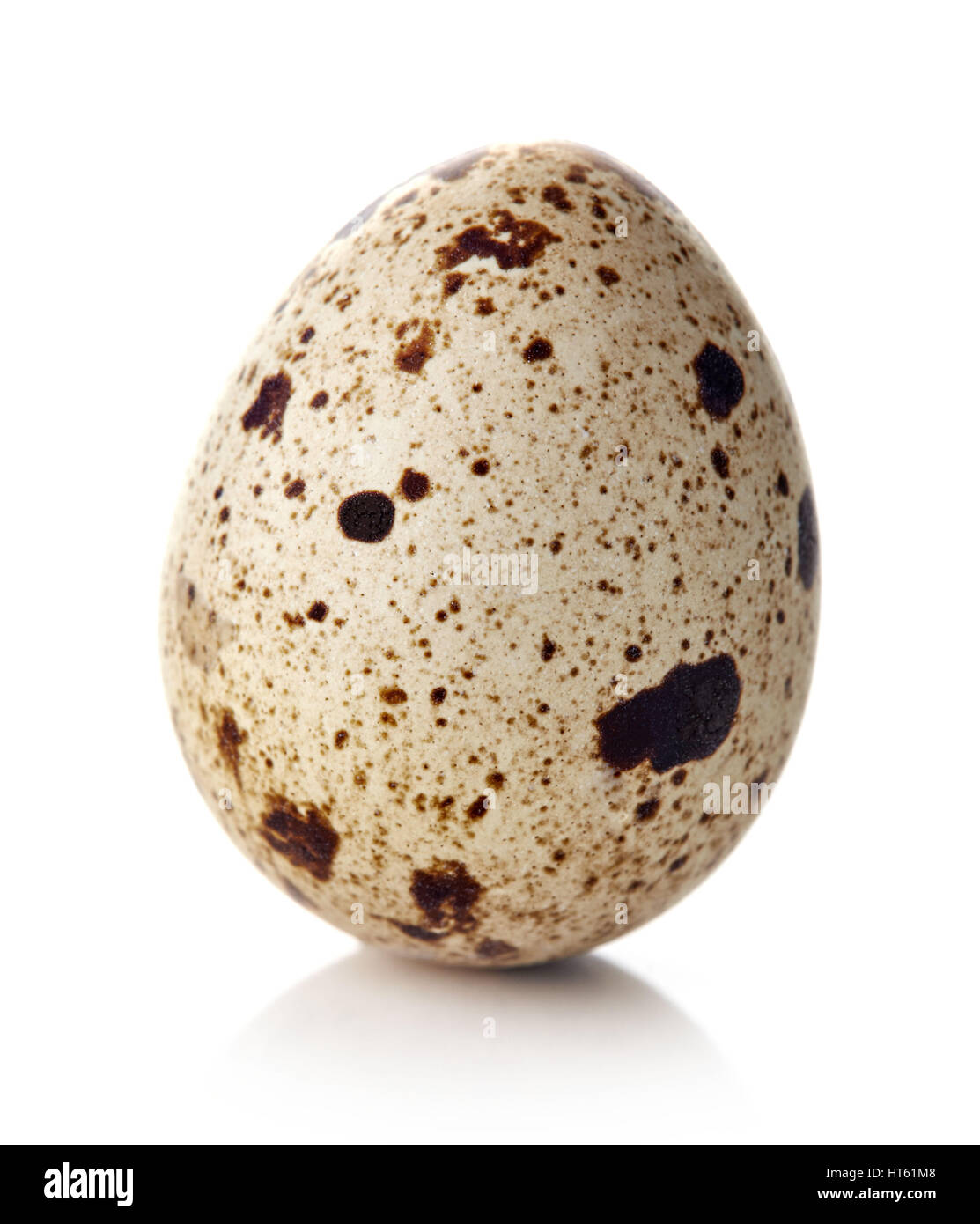 Quail egg isolated on white background Stock Photo