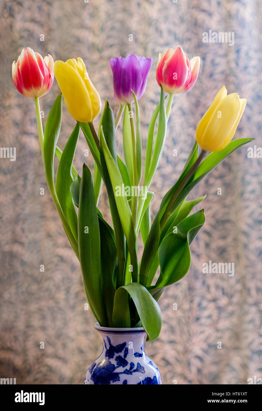 Red yellow and blue flowers in vase hi-res stock photography and images ...