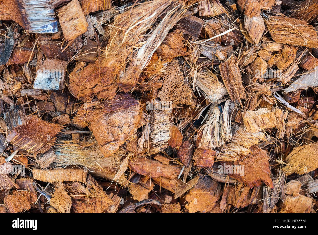 Coconut husk bark hires stock photography and images Alamy