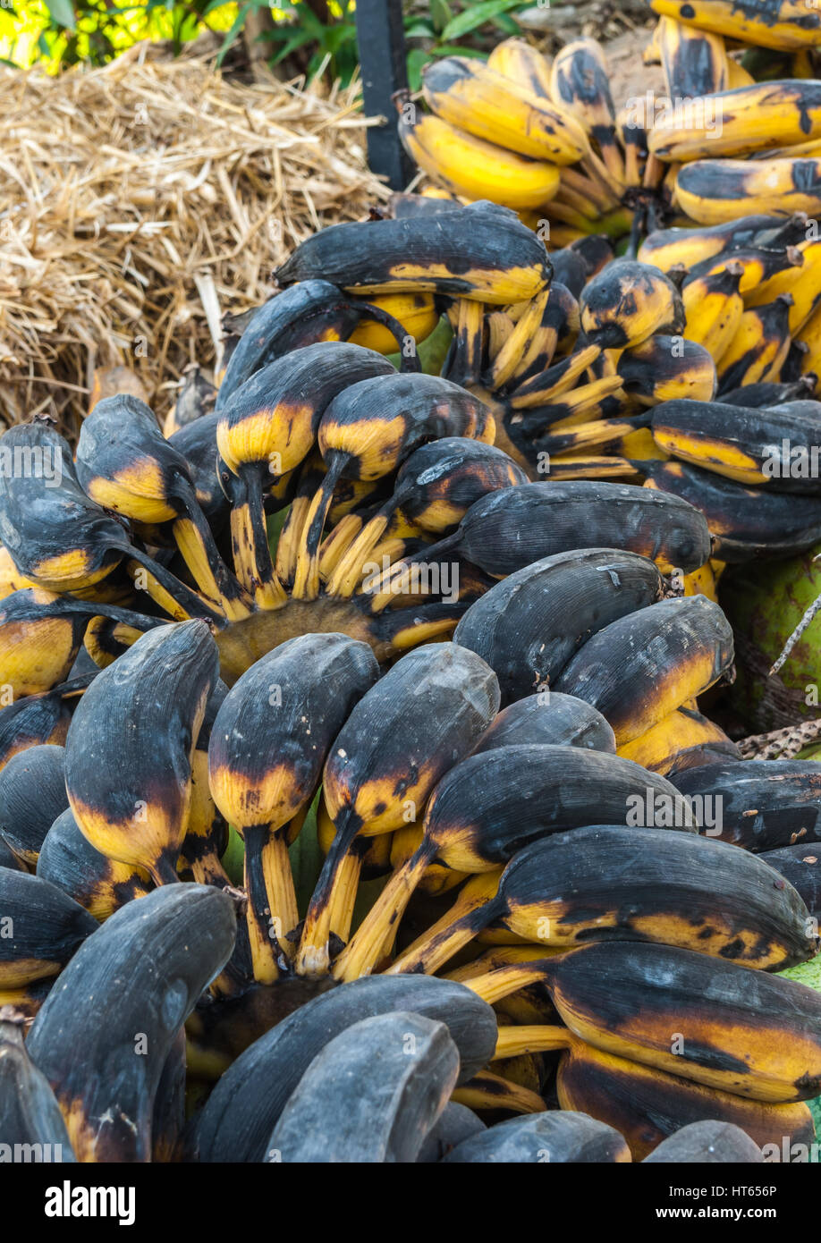 Organic bananas on red background top view. Bunch of bananas is lying on  orange background with dark spots marking ripening process Stock Photo -  Alamy