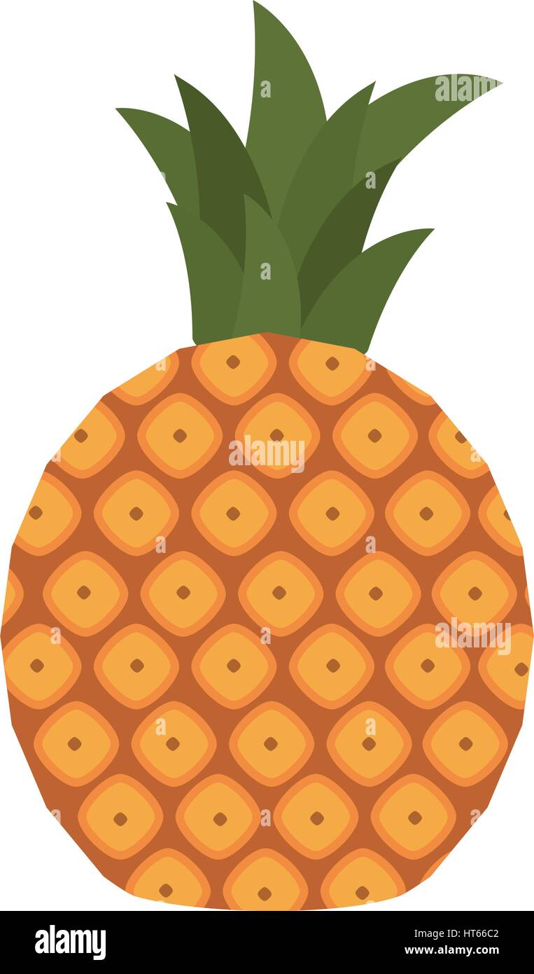 sweet pineapple fruit healthy Stock Vector Image & Art - Alamy