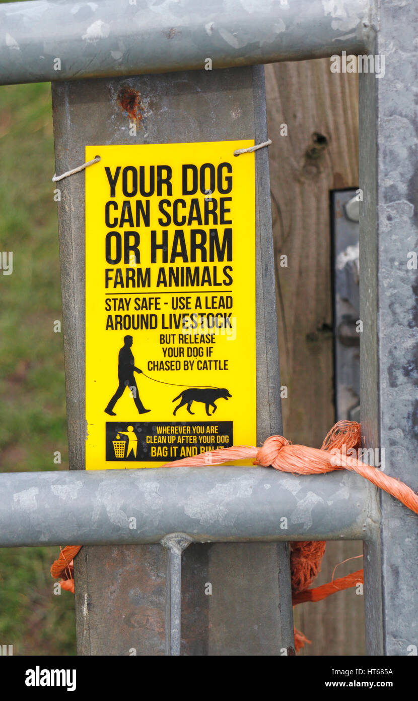 Safety sign on a farm gate regarding control of dogs around livestock. Stock Photo