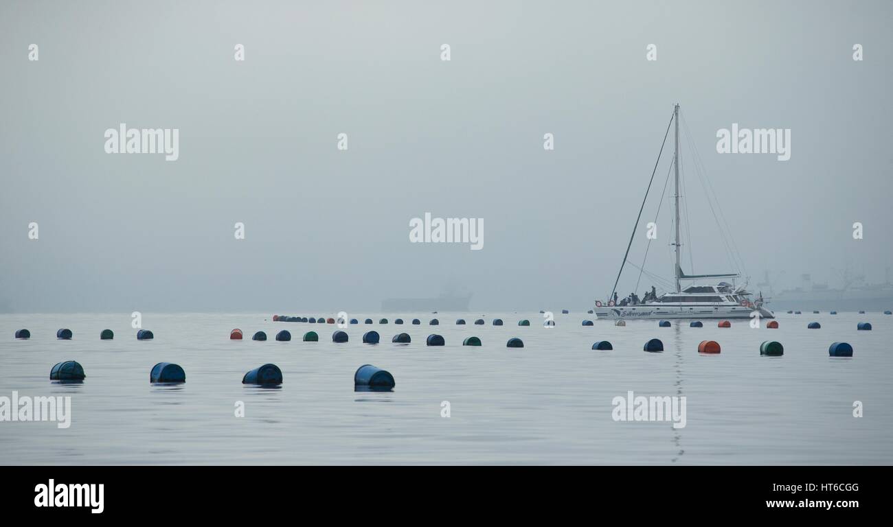 Walvis bay oyster farm hires stock photography and images Alamy
