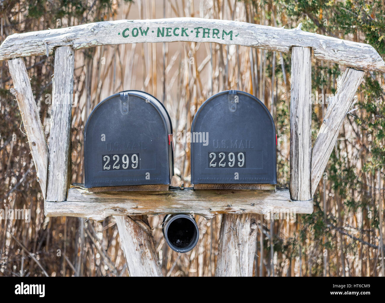 cow neck farm sign and two mail boxes Stock Photo