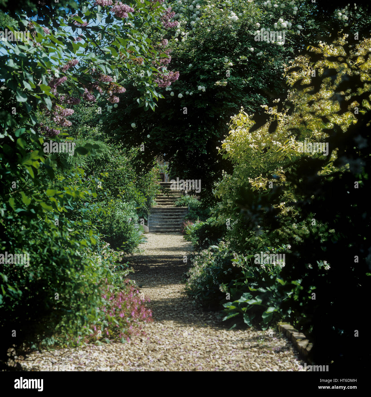 Garden path. Stock Photo